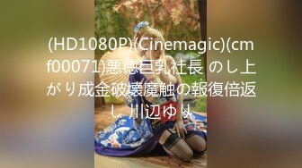 (HD1080P)(Cinemagic)(cmf00071)悪徳巨乳社長 のし上がり成金破壊魔触の報復倍返し 川辺ゆり